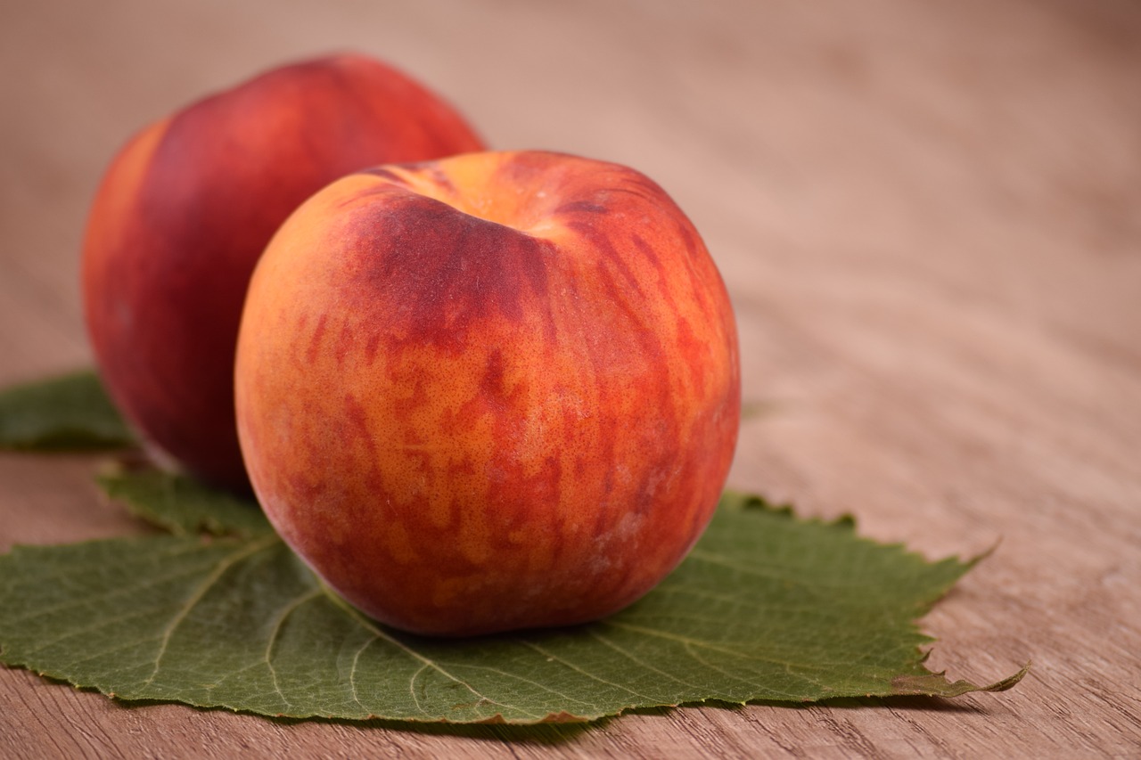 The Philosophy and Politics of Food: Vegetarianism to Veganism